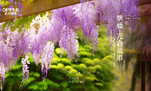 2024凯发一触即发照明紫藤花节暨企业开放周开幕：手艺驱动，，，，生生不息