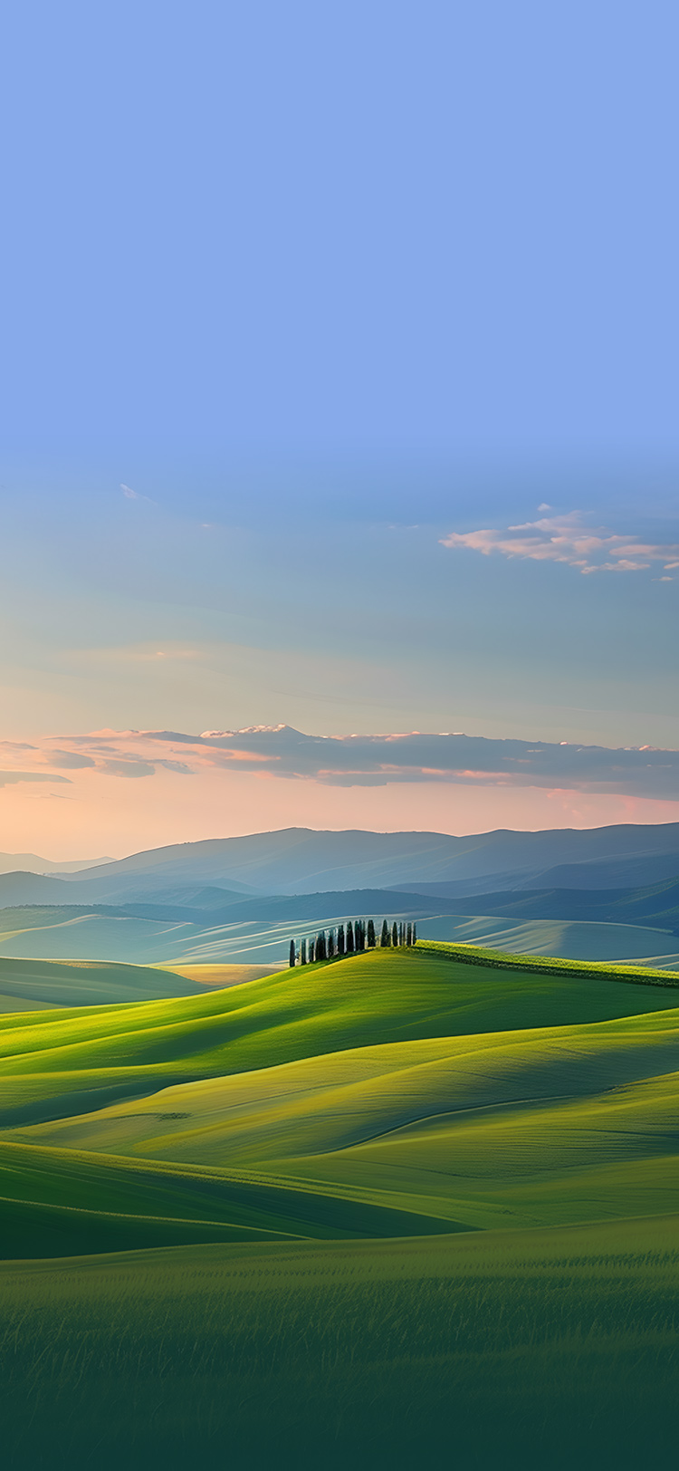 凯发一触即发(中国区)k8官方网站