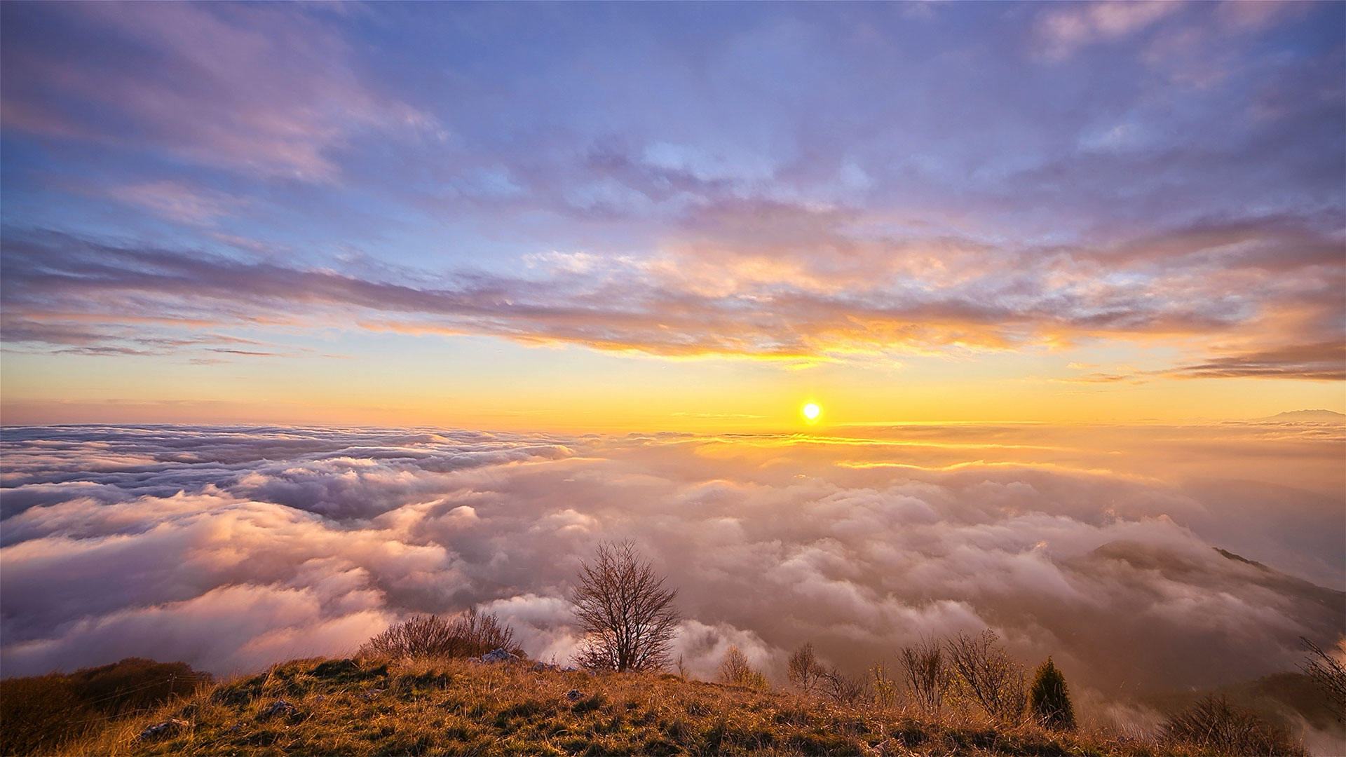 凯发一触即发(中国区)k8官方网站