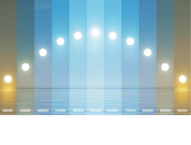 凯发一触即发(中国区)k8官方网站