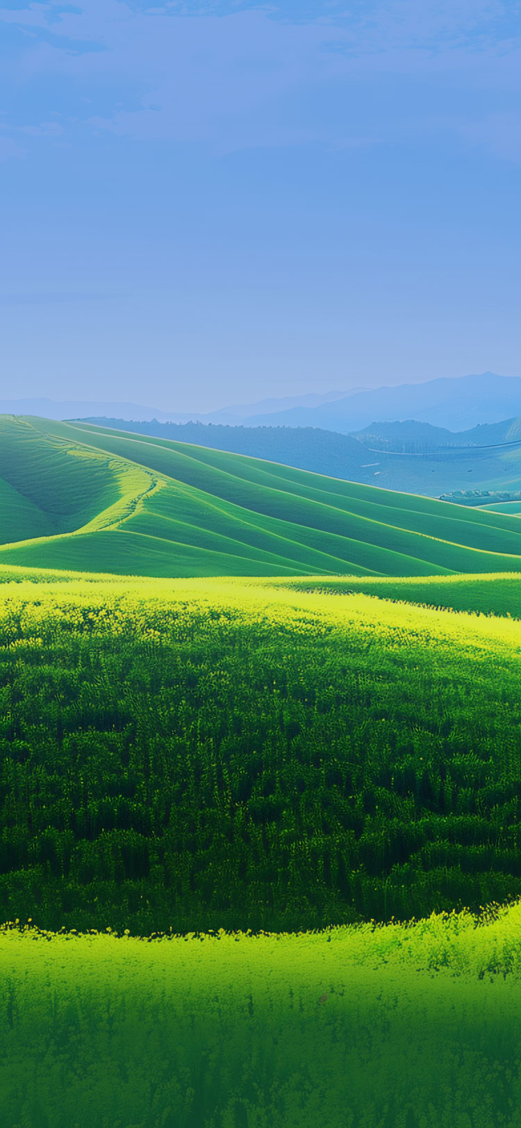 凯发一触即发(中国区)k8官方网站