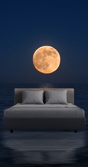 凯发一触即发(中国区)k8官方网站